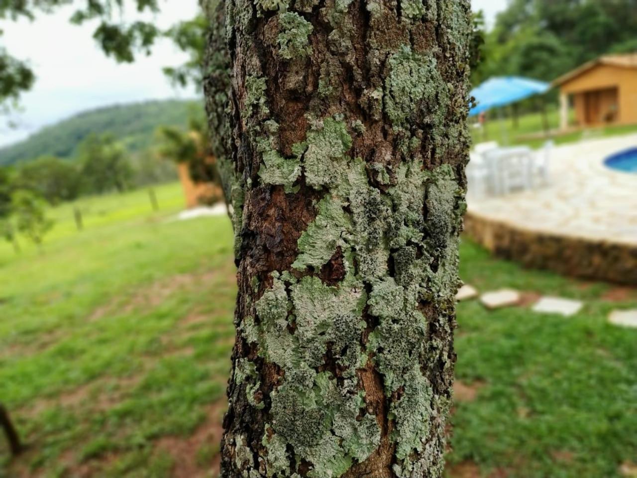 Recanto Do Baru Pirenópolis Εξωτερικό φωτογραφία